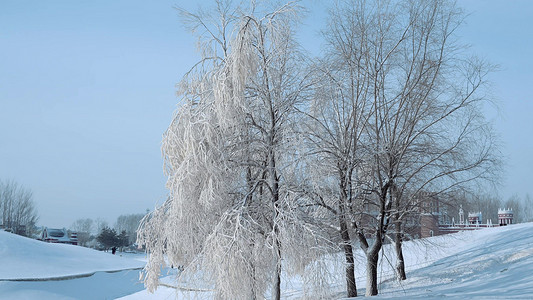 蓝天雪地摄影照片_东北冬天河边柳树冰封冻结结冰雾凇风光