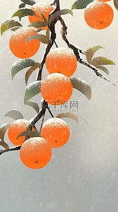 秋天柿子树背景图片_二十四节气之霜降节气柿子背景