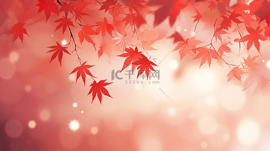 红色秋天背景背景图片_霜降节气红色枫叶背景