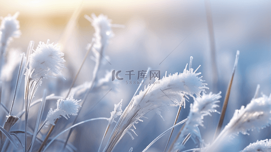 霜降节气风景背景图片_冬季霜降节气风景背景37