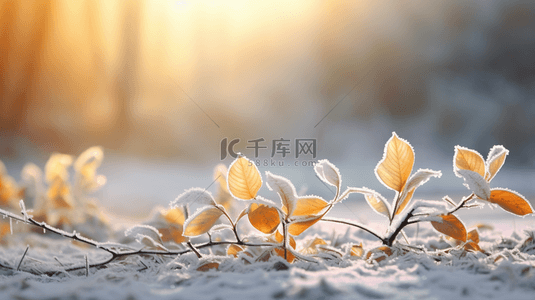 霜降咖啡背景图片_冬季霜降节气风景背景34