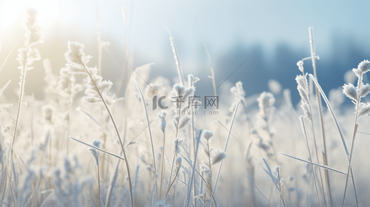 霜降节气风景背景图片_冬季霜降节气风景背景28