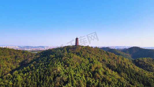 盘龙黄鳝摄影照片_航拍湖南湘潭盘龙大观园4A风景区