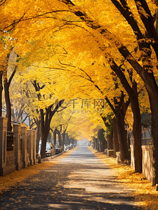 秋天城市背景图片_黄色现代感城市街道唯美背景14