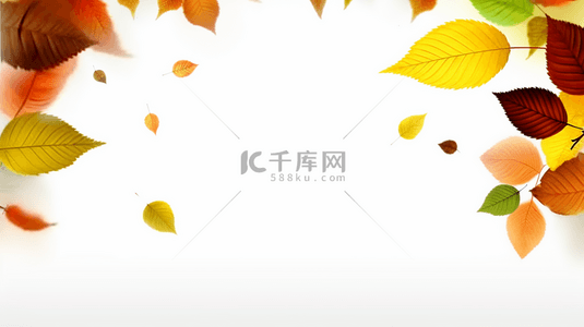 清新秋天叶子空白边框背景2