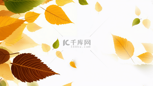 清新秋天叶子空白边框背景8