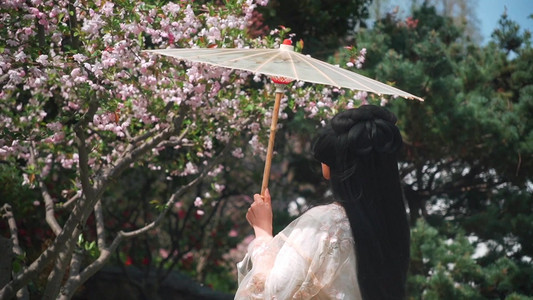 打赏摄影照片_1080唯美古风汉服女子打着伞欣赏海棠花实拍