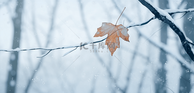 秋天树林背景图片_霜降节气覆盖着秋霜枝叶质感霜雪
