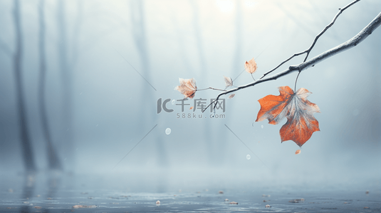 秋天树林背景图片_霜降节气覆盖着秋霜枝叶质感霜雪