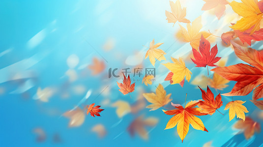 秋天落叶在空中飘扬3