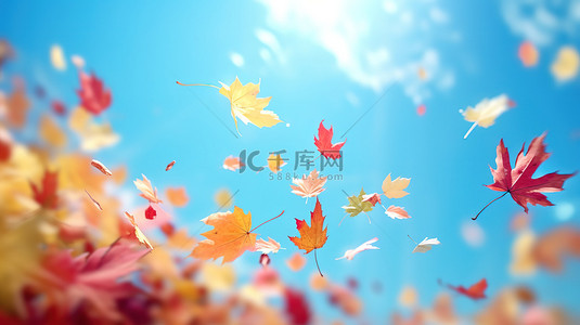 秋天落叶在空中飘扬1