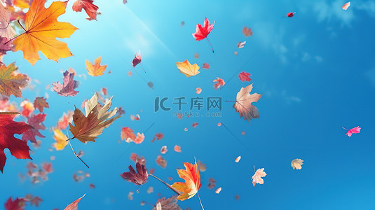 秋天落叶在空中飘扬19