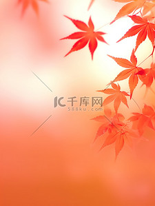 秋天枫叶树叶背景4