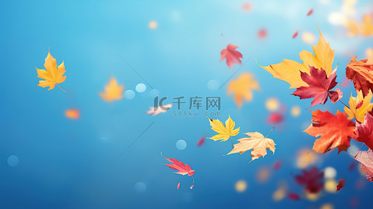 秋天落叶在空中飘扬7