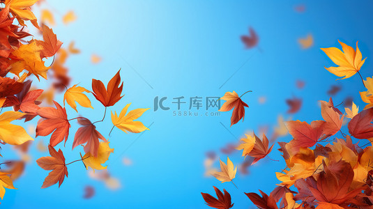 秋天落叶在空中飘扬6