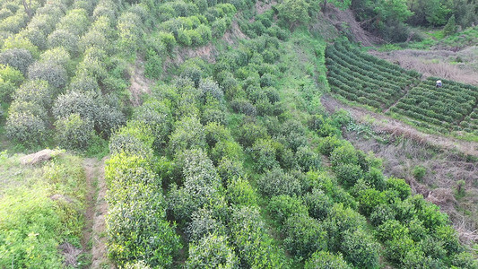 航拍高铁站摄影照片_安徽六安舒城大别山生态健康绿色人文美景18