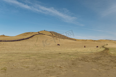 内蒙古乌兰布统草原牧场秋色