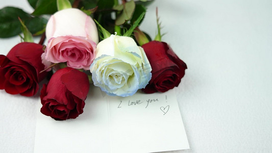 小214摄影照片_情人节玫瑰花卡片表白求婚实拍