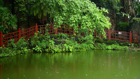 蒙蒙细雨落在水面上