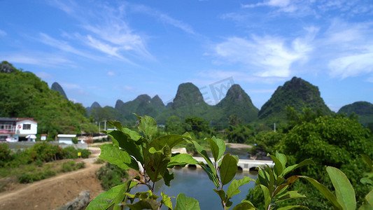 通透阳光光晕下的绿植实拍