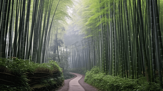 竹枝摄影照片_杭州植物园竹子竹林