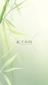 文化寓意象征清新梅兰竹菊四君子之竹子背景