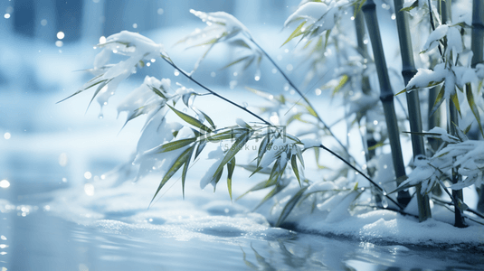 雨背景图片_立冬节气雨雪里的竹林场景背景6