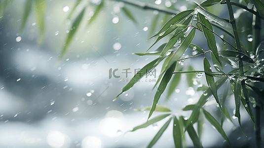 立冬节气雨雪里的竹林场景背景5