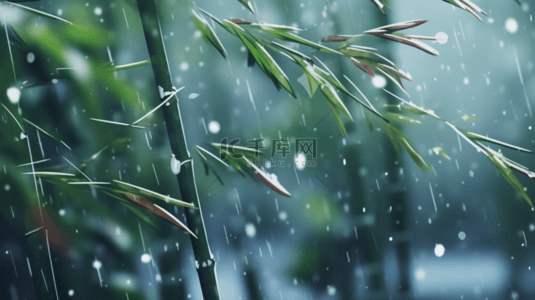 自然节气背景图片_立冬节气雨雪里的竹林场景背景13