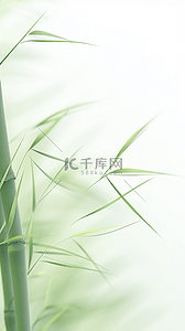 竹文化背景图片_文化寓意象征清新梅兰竹菊四君子之竹子