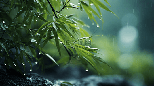 立冬节背景图片_立冬节气雨雪里的竹林场景背景9