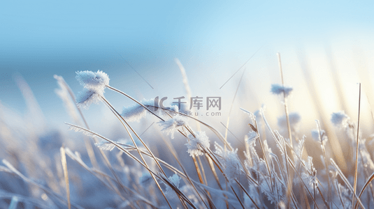 霜降雪花背景图片_现代感霜降大地写实背景22