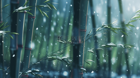立冬节背景图片_立冬节气雨雪里的竹林场景背景12