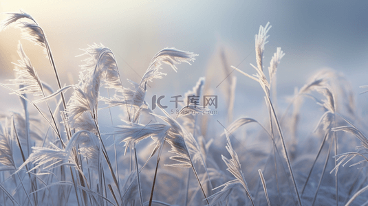 开车景象背景图片_霜降自然景象写实背景23