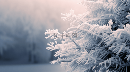 冬季雾凇植物质感背景2