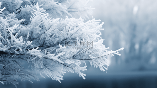 冬天植物背景图片_冬季雾凇植物质感背景24
