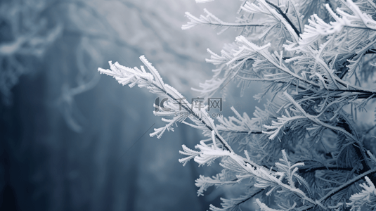 冬季植物树枝背景图片_冬季雾凇植物质感背景11