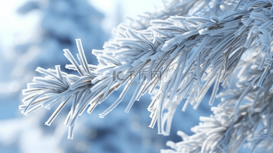 冬季植物树枝背景图片_冬季下雪的松树植物背景22
