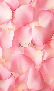 花瓣玫瑰背景图片_唯美粉色玫瑰花瓣平铺护肤品电商背景