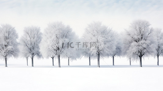 森林背景图片_白雪覆盖的树木冬季景色3