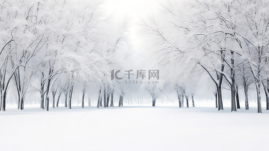 冬季背景图片_白雪覆盖的树木冬季景色8