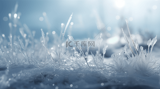 霜降背景图片_冬季冰雪植物雪景背景24