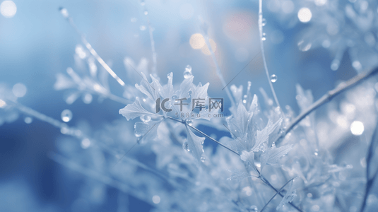 微观造景背景图片_冬季冰雪植物雪景背景17