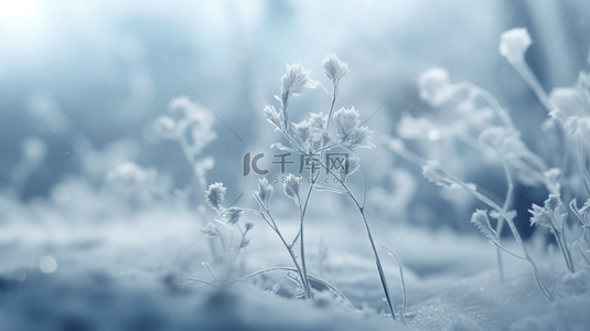 霜降叶子背景图片_冬季冰雪植物雪景背景6