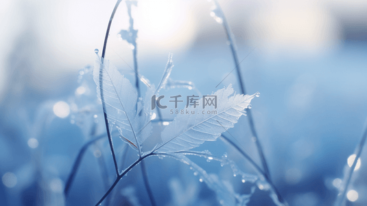 霜降背景图片_冬季冰雪植物雪景背景31