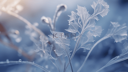 霜降背景图片_冬季冰雪植物雪景背景18