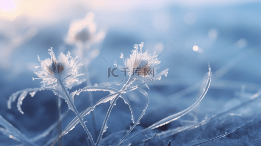 霜降叶子背景图片_冬季冰雪植物雪景背景7