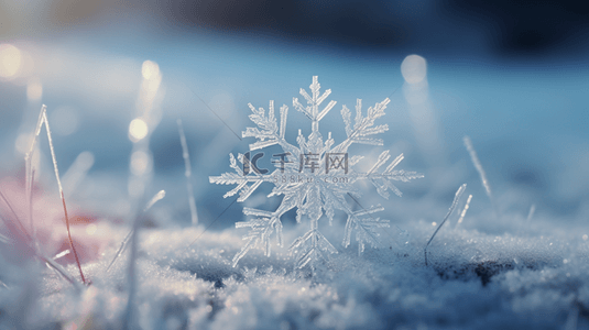 落叶的背景图片_冬天早晨森林里雪花和冰雪覆盖的落叶5