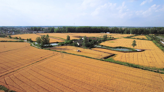 航拍农业丰收季节机械化收割小麦