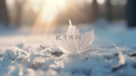 梦见雪花背景图片_冬天早晨森林里雪花和冰雪覆盖的落叶1